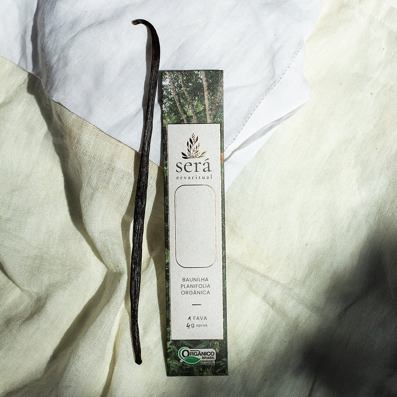 Fava de Será Baunilha — Vanilla planifolia orgânica da agrofloresta Cabruca, Bahia
